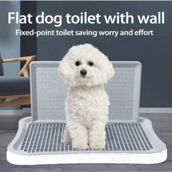 Flat dog toilet with wall
Fixed-point toilet saving worry and effort - Picture 10 of 12